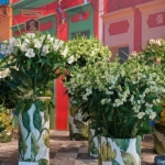Alstroemeriashow in het Oranje Nassau paviljoen in de Keukenhof 2022<br/>Copyright ยฉ JTravel.nl Alstroemeriashow in het Oranje Nassau paviljoen in de Keukenhof 2022 / Copyright ยฉ JTravel.nl