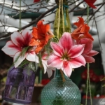 Bloemen- en plantenshow in het Willem-Alexander paviljoen in de Keukenhof 2022<br/>Copyright ยฉ JTravel.nl Bloemen- en plantenshow in het Willem-Alexander paviljoen in de Keukenhof 2022 / Copyright ยฉ JTravel.nl