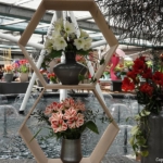 Bloemen- en plantenshow in het Willem-Alexander paviljoen in de Keukenhof 2022<br/>Copyright ยฉ JTravel.nl Bloemen- en plantenshow in het Willem-Alexander paviljoen in de Keukenhof 2022 / Copyright ยฉ JTravel.nl