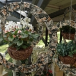 Orchideeรซn- en anturiumshow in het Beatrix paviljoen in de Keukenhof 2022<br/>Copyright ยฉ JTravel.nl Orchideeรซn- en anturiumshow in het Beatrix paviljoen in de Keukenhof 2022 / Copyright ยฉ JTravel.nl