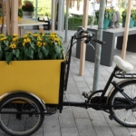 Bloemen- en plantenshow in het Willem-Alexander paviljoen in de Keukenhof 2022<br/>Copyright ยฉ JTravel.nl Bloemen- en plantenshow in het Willem-Alexander paviljoen in de Keukenhof 2022 / Copyright ยฉ JTravel.nl