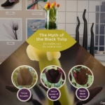 Tulpomania in de Keukenhof 2022<br/>Copyright ยฉ JTravel.nl Tulpomania in de Keukenhof 2022 / Copyright ยฉ JTravel.nl