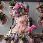 Orchideeรซn- en anturiumshow in het Beatrix paviljoen in de Keukenhof 2022<br/>Copyright ยฉ JTravel.nl Orchideeรซn- en anturiumshow in het Beatrix paviljoen in de Keukenhof 2022 / Copyright ยฉ JTravel.nl