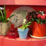Alstroemeriashow in het Oranje Nassau paviljoen in de Keukenhof 2022<br/>Copyright ยฉ JTravel.nl Alstroemeriashow in het Oranje Nassau paviljoen in de Keukenhof 2022 / Copyright ยฉ JTravel.nl