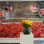 Tulpomania in de Keukenhof 2022<br/>Copyright ยฉ JTravel.nl Tulpomania in de Keukenhof 2022 / Copyright ยฉ JTravel.nl
