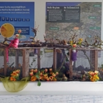 Tulpomania in de Keukenhof 2022<br/>Copyright ยฉ JTravel.nl Tulpomania in de Keukenhof 2022 / Copyright ยฉ JTravel.nl