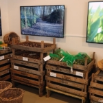 Tulpomania in de Keukenhof 2022<br/>Copyright ยฉ JTravel.nl Tulpomania in de Keukenhof 2022 / Copyright ยฉ JTravel.nl