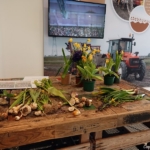 Tulpomania in de Keukenhof 2022<br/>Copyright ยฉ JTravel.nl Tulpomania in de Keukenhof 2022 / Copyright ยฉ JTravel.nl