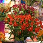 Alstroemeriashow in het Oranje Nassau paviljoen in de Keukenhof 2022<br/>Copyright ยฉ JTravel.nl Alstroemeriashow in het Oranje Nassau paviljoen in de Keukenhof 2022 / Copyright ยฉ JTravel.nl