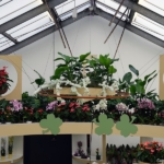 Orchideeรซn- en anturiumshow in het Beatrix paviljoen in de Keukenhof 2022<br/>Copyright ยฉ JTravel.nl Orchideeรซn- en anturiumshow in het Beatrix paviljoen in de Keukenhof 2022 / Copyright ยฉ JTravel.nl