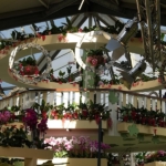 Orchideeรซn- en anturiumshow in het Beatrix paviljoen in de Keukenhof 2022<br/>Copyright ยฉ JTravel.nl Orchideeรซn- en anturiumshow in het Beatrix paviljoen in de Keukenhof 2022 / Copyright ยฉ JTravel.nl