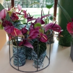 Orchideeรซn- en anturiumshow in het Beatrix paviljoen in de Keukenhof 2022<br/>Copyright ยฉ JTravel.nl Orchideeรซn- en anturiumshow in het Beatrix paviljoen in de Keukenhof 2022 / Copyright ยฉ JTravel.nl