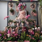 Orchideeรซn- en anturiumshow in het Beatrix paviljoen in de Keukenhof 2022<br/>Copyright ยฉ JTravel.nl Orchideeรซn- en anturiumshow in het Beatrix paviljoen in de Keukenhof 2022 / Copyright ยฉ JTravel.nl