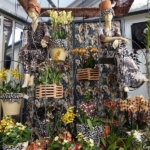 Orchideeรซn- en anturiumshow in het Beatrix paviljoen in de Keukenhof 2022<br/>Copyright ยฉ JTravel.nl Orchideeรซn- en anturiumshow in het Beatrix paviljoen in de Keukenhof 2022 / Copyright ยฉ JTravel.nl