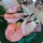 Orchideeรซn- en anturiumshow in het Beatrix paviljoen in de Keukenhof 2022<br/>Copyright ยฉ JTravel.nl Orchideeรซn- en anturiumshow in het Beatrix paviljoen in de Keukenhof 2022 / Copyright ยฉ JTravel.nl