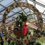 Orchideeรซn- en anturiumshow in het Beatrix paviljoen in de Keukenhof 2022<br/>Copyright ยฉ JTravel.nl Orchideeรซn- en anturiumshow in het Beatrix paviljoen in de Keukenhof 2022 / Copyright ยฉ JTravel.nl