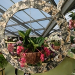 Orchideeรซn- en anturiumshow in het Beatrix paviljoen in de Keukenhof 2022<br/>Copyright ยฉ JTravel.nl Orchideeรซn- en anturiumshow in het Beatrix paviljoen in de Keukenhof 2022 / Copyright ยฉ JTravel.nl