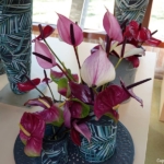 Orchideeรซn- en anturiumshow in het Beatrix paviljoen in de Keukenhof 2022<br/>Copyright ยฉ JTravel.nl Orchideeรซn- en anturiumshow in het Beatrix paviljoen in de Keukenhof 2022 / Copyright ยฉ JTravel.nl