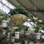 Orchideeรซn- en anturiumshow in het Beatrix paviljoen in de Keukenhof 2022<br/>Copyright ยฉ JTravel.nl Orchideeรซn- en anturiumshow in het Beatrix paviljoen in de Keukenhof 2022 / Copyright ยฉ JTravel.nl