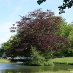 Buitenplaats Elswout tijdens de Stadse Tocht Haarlem <br/>Copyright © JTravel.nl Buitenplaats Elswout tijdens de Stadse Tocht Haarlem<br/>Copyright © JTravel.nl