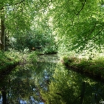 Buitenplaats Elswout tijdens de Stadse Tocht Haarlem <br/>Copyright © JTravel.nl Buitenplaats Elswout tijdens de Stadse Tocht Haarlem<br/>Copyright © JTravel.nl