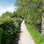 Een wandelpad tijdens de Stadse Tocht Haarlem <br/>Copyright © JTravel.nl Een wandelpad tijdens de Stadse Tocht Haarlem<br/>Copyright © JTravel.nl