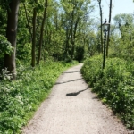 Haarlemmerhout tijdens de Stadse Tocht Haarlem <br/>Copyright © JTravel.nl Haarlemmerhout tijdens de Stadse Tocht Haarlem<br/>Copyright © JTravel.nl