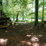 Buitenplaats Elswout tijdens de Stadse Tocht Haarlem <br/>Copyright © JTravel.nl Buitenplaats Elswout tijdens de Stadse Tocht Haarlem<br/>Copyright © JTravel.nl