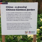China in Urban District op de Floriade Expo 2022 in Almere<br/>Copyright ยฉ JTravel.nl China in Urban District op de Floriade Expo 2022 in Almere<br/>Copyright ยฉ JTravel.nl