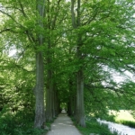 Een wandelpad tijdens de Stadse Tocht Haarlem <br/>Copyright © JTravel.nl Een wandelpad tijdens de Stadse Tocht Haarlem<br/>Copyright © JTravel.nl