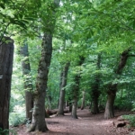 Buitenplaats Spanderswoud tijdens mijn wandeling in de Gooise natuur<br/>Copyright ยฉ JTravel.nl Buitenplaats Spanderswoud tijdens mijn wandeling in de Gooise natuur<br/>Copyright ยฉ JTravel.nl