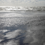 Strand in Zandvoort tijdens mijn wandeling tussen Haarlem en Zandvoort<br/>Copyright © JTravel.nl Strand in Zandvoort tijdens mijn wandeling tussen Haarlem en Zandvoort<br/>Copyright © JTravel.nl