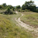 Een onverhard pad langs het Visscherspad tijdens mijn wandeling tussen Haarlem en Zandvoort<br/>Copyright © JTravel.nl Een onverhard pad langs het Visscherspad tijdens mijn wandeling tussen Haarlem en Zandvoort<br/>Copyright © JTravel.nl