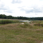 Zanderij Crailoo tijdens mijn wandeling in de Gooise natuur<br/>Copyright ยฉ JTravel.nl Zanderij Crailoo tijdens mijn wandeling in de Gooise natuur<br/>Copyright ยฉ JTravel.nl