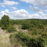 Uitzichtpunt langs het Visscherspad tijdens mijn wandeling tussen Haarlem en Zandvoort Uitzichtpunt langs het Visscherspad tijdens mijn wandeling tussen Haarlem en Zandvoort<br/>Copyright © JTravel.nl