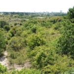 Het uitzichtpunt langs het Visscherspad tijdens mijn wandeling tussen Haarlem en Zandvoort Het uitzichtpunt langs het Visscherspad tijdens mijn wandeling tussen Haarlem en Zandvoort