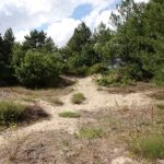 Visscherspad tijdens mijn wandeling tussen Haarlem en Zandvoort<br/>Copyright © JTravel.nl Visscherspad tijdens mijn wandeling tussen Haarlem en Zandvoort<br/>Copyright © JTravel.nl