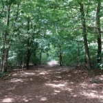 Buitenplaats Spanderswoud tijdens mijn wandeling in de Gooise natuur<br/>Copyright ยฉ JTravel.nl Buitenplaats Spanderswoud tijdens mijn wandeling in de Gooise natuur<br/>Copyright ยฉ JTravel.nl