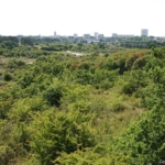 Uitzichtpunt langs het Visscherspad tijdens mijn wandeling tussen Haarlem en Zandvoort<br/>Copyright © JTravel.nl Uitzichtpunt langs het Visscherspad tijdens mijn wandeling tussen Haarlem en Zandvoort<br/>Copyright © JTravel.nl