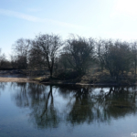 In de Amsterdamse Waterleidingduinen op 8 februari 2023 / Copyright © JTravel.nl In de Amsterdamse Waterleidingduinen op 8 februari 2023 / Copyright © JTravel.nl