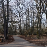 De Amsterdamse Waterleidingduinen op 8 februari 2023 / Copyright © JTravel.nl De Amsterdamse Waterleidingduinen op 8 februari 2023 / Copyright © JTravel.nl