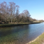 In de Amsterdamse Waterleidingduinen op 8 februari 2023 / Copyright © JTravel.nl In de Amsterdamse Waterleidingduinen op 8 februari 2023 / Copyright © JTravel.nl