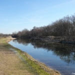 In de Amsterdamse Waterleidingduinen op 8 februari 2023 / Copyright © JTravel.nl In de Amsterdamse Waterleidingduinen op 8 februari 2023 / Copyright © JTravel.nl