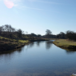 In de Amsterdamse Waterleidingduinen op 8 februari 2023 / Copyright © JTravel.nl In de Amsterdamse Waterleidingduinen op 8 februari 2023 / Copyright © JTravel.nl