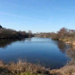 In de Amsterdamse Waterleidingduinen op 8 februari 2023 / Copyright © JTravel.nl In de Amsterdamse Waterleidingduinen op 8 februari 2023 / Copyright © JTravel.nl