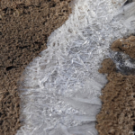 In de Amsterdamse Waterleidingduinen op 8 februari 2023 / Copyright © JTravel.nl In de Amsterdamse Waterleidingduinen op 8 februari 2023 / Copyright © JTravel.nl