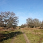 In de Amsterdamse Waterleidingduinen op 8 februari 2023 / Copyright © JTravel.nl In de Amsterdamse Waterleidingduinen op 8 februari 2023 / Copyright © JTravel.nl