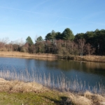 In de Amsterdamse Waterleidingduinen op 8 februari 2023 / Copyright © JTravel.nl In de Amsterdamse Waterleidingduinen op 8 februari 2023 / Copyright © JTravel.nl