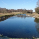 De Amsterdamse Waterleidingduinen op 8 februari 2023 / Copyright © JTravel.nl De Amsterdamse Waterleidingduinen op 8 februari 2023 / Copyright © JTravel.nl