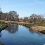 De Amsterdamse Waterleidingduinen op 8 februari 2023 / Copyright © JTravel.nl De Amsterdamse Waterleidingduinen op 8 februari 2023 / Copyright © JTravel.nl